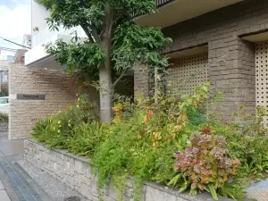 サンクタス桜上水