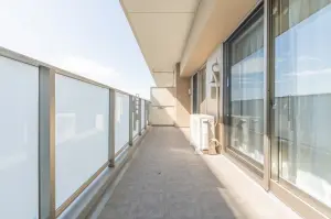 アデニウム府中白糸台