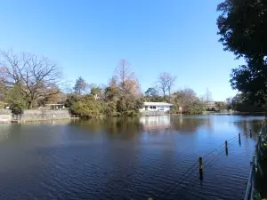 ライオンズガーデン武蔵関公園弐番館