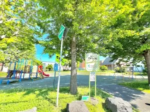 物件北側の新川まきば公園　徒歩１分（５０ｍ）