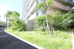 植栽