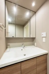 クラッシィタワー南船場