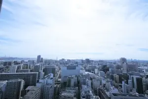 ＣＨＩＢＡ　ＣＥＮＴＲＡＬ　ＴＯＷＥＲ
