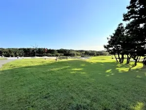 オ－シャンレジデンス辻堂海浜公園