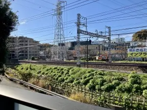 ライフレビュー新百合ヶ丘