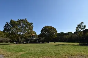 ライオンズステージ亀戸中央公園