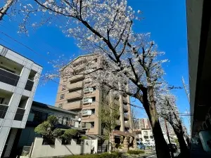 ライオンズマンション大曽根第３