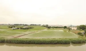 エクレール第４岩槻
