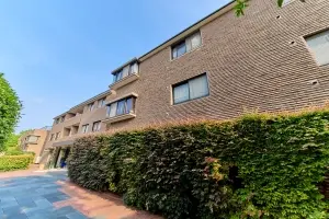 ステラスイート大井