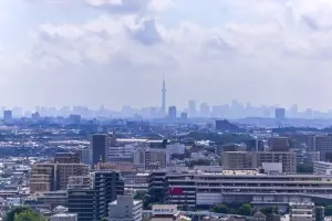 ライオンズタワー柏