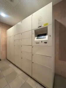 ライオンズガーデン南堀越