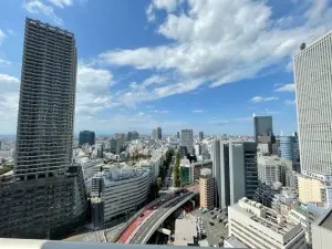 エアライズタワーライズアリーナビル