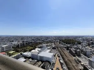 ザ・ライオンズ　ミッドキャピタルタワー