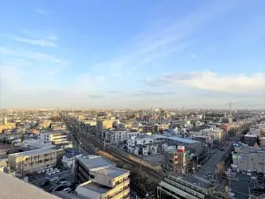 ゼファー東川口けやき通り