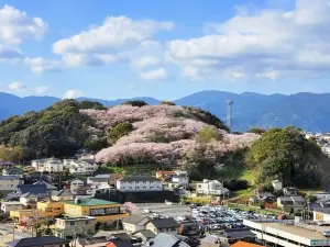 トラスト前原中央ネクサージュ