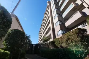 レクセルマンション高根公団