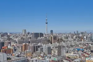 ライオンズタワー大島