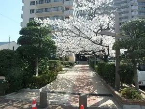 コープ野村東姪浜