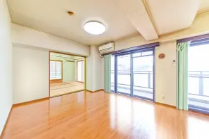 ナイスアーバン新川崎ステイツ