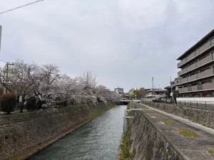 聖護院パーク・ホームズ