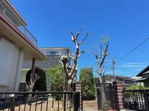 鎌倉市今泉台戸建