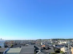アデニウム北小岩