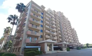外観（北側より撮影）