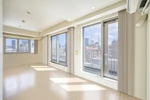 エルラフィナ白金