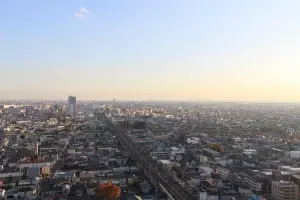 ライオンズステーションタワー北越谷