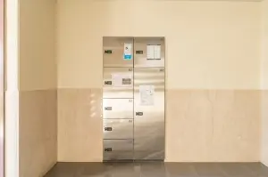 エヴァーグリーン船堀