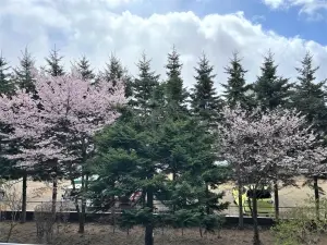 アルファコート・山の手２
