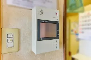 ナイスアーバン新川崎ステイツ