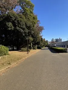 世田谷区深沢１丁目中古戸建