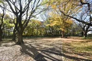 マージュ高幡不動
