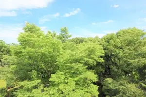 港北ニュータウンかしの木台ハイツ５号棟