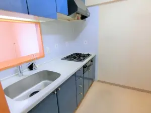 ライオンズモリス小竹向原