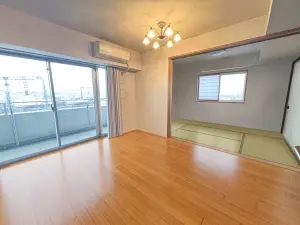アデニウム越谷
