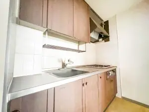 ナイスアーバン湘南平塚明石町