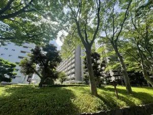 ライオンズヴィアーレ大宮