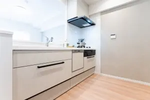 ライオンズマンション鶴橋