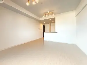 ライオンズタワー大島