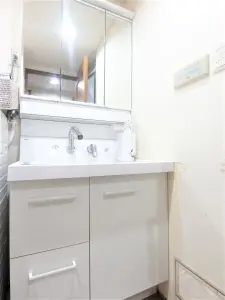 シャワー付き洗面化粧台