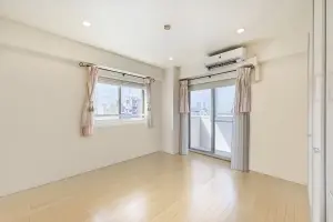 エルラフィナ白金