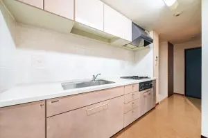 ダイアパレス南鳩ケ谷グランエール