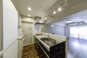 ライオンズマンション東麻布