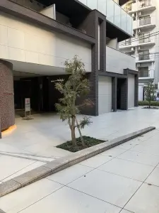 クレイシア新宿パークコンフォート