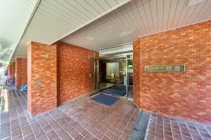 シャンボール弦巻