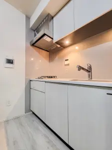 ライオンズ東京菊川ミレス