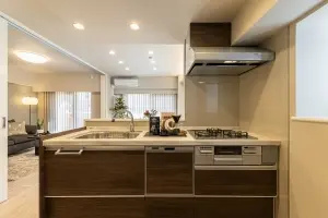 食器洗乾燥機付きのシステムキッチン