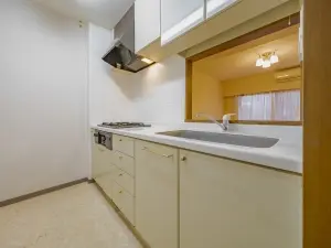 ライオンズマンション市川広尾